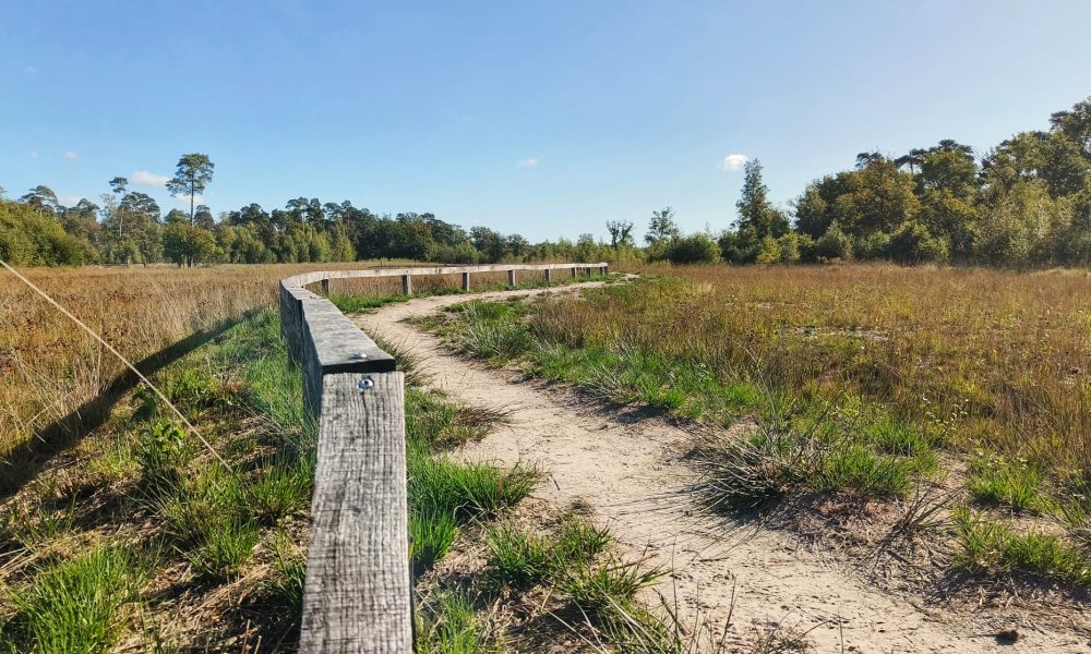wandeling de ronde put mol postel