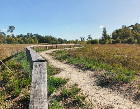 wandeling de ronde put mol postel