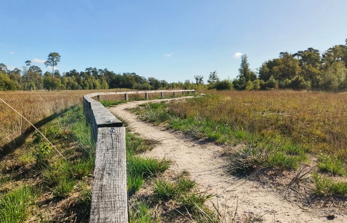 wandeling de ronde put mol postel